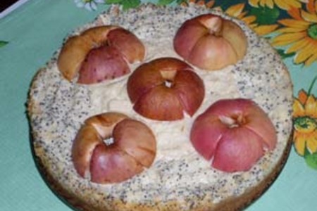 Яблочно-творожный чизкейк с маком: шаг 8