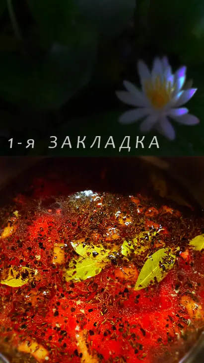 Летние радости 4 : борщ со шкварками и грибами.: шаг 4