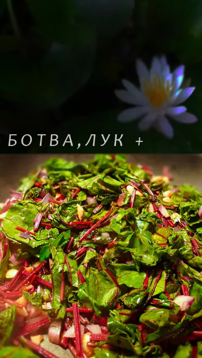 Летние радости 4 : борщ со шкварками и грибами.: шаг 6