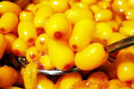 Торт с облепиховым кремом и экзотическими фруктами в желе: шаг 1