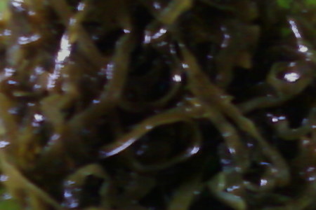 Салат- винигрет с морской капустой: шаг 5