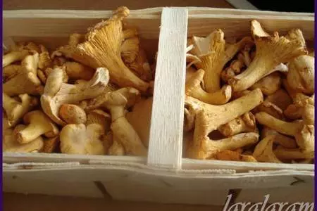 Грибное лукошко: шаг 2