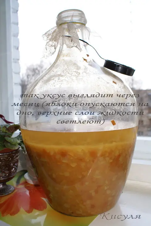 Натуральный яблочный уксус.: шаг 3