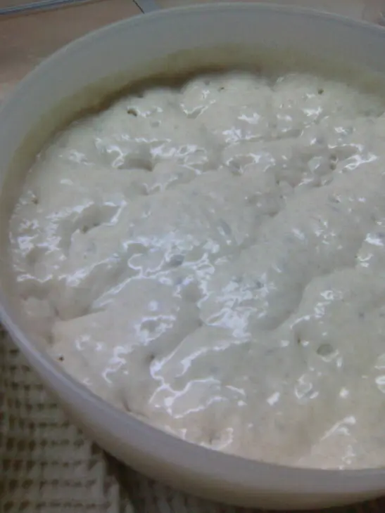 Хлеб ароматный на закваске с фруктовыми нотками и пряным вкусом: шаг 1