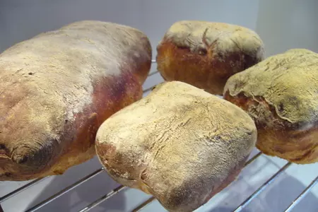 Чиабатта (ciabatta): шаг 11