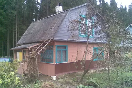 Шашлык в луковом маринаде: шаг 6
