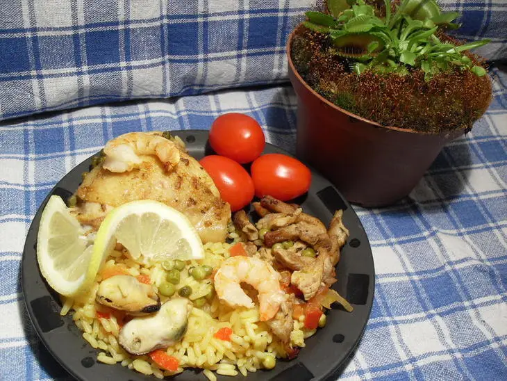 "паэлья" (spanische paella): шаг 6