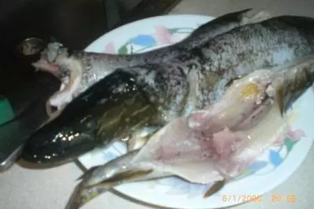 Котлеты из щуки с овощами: шаг 1