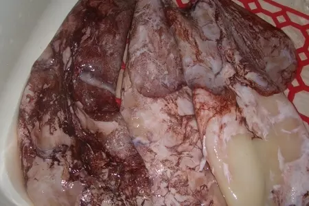 Салат из кальмар "хорошая компания": шаг 1