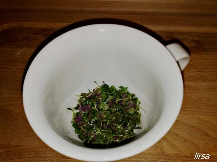 Карпаччо из тыквы с запечённым козьим сыром: шаг 5