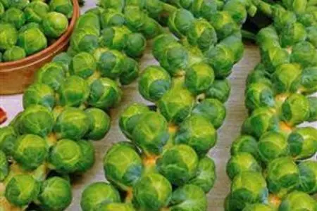 Вспоминая рождество 1: пай  с капустой кудрявой и ореховым тестом: шаг 5