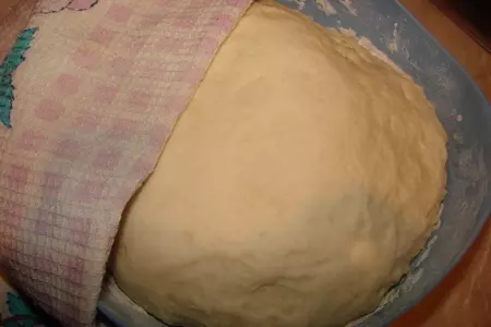 Тесто для пиццы от "оскароносного" шеф повара вольфганга пака и пицца из него.: шаг 9