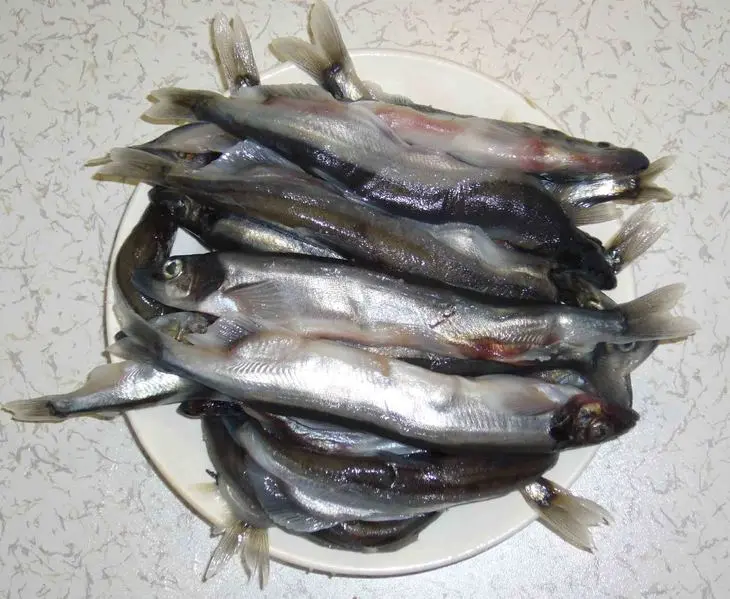 Рыбный бочонок с грибами: шаг 1