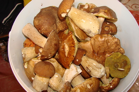 Белые грибы соленые (квашенные).: шаг 2