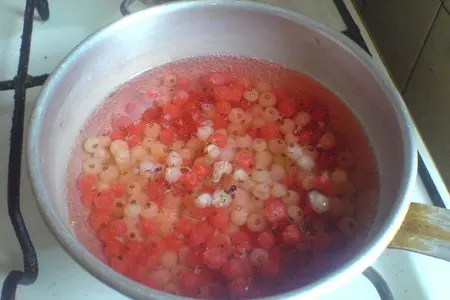 Мусс из красной и белой смородины: шаг 1