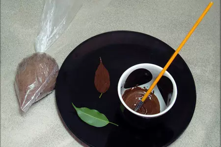 Ореховое мороженое с каплями шоколада и цукатами "чарующая сказка шехрезады".: шаг 16