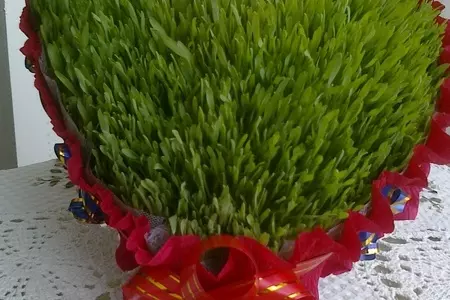 Шекербура: шаг 9