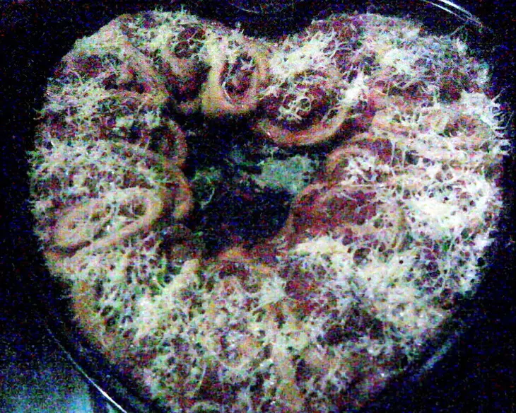Ароматный пирог с мясом и рисом: шаг 2