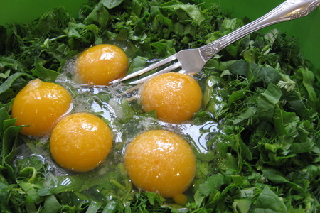 Омлет  "зелёный" - витаминный завтрак,обед,ужин!: шаг 3