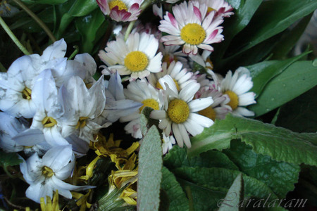 Салат весенний цветение сакуры (только любителям природы!): шаг 6