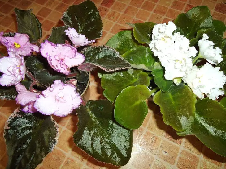Диетические банановые маффины "вкусняшки": шаг 2