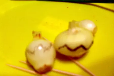 Цветы из мелкого лука (украшение блюд): шаг 2