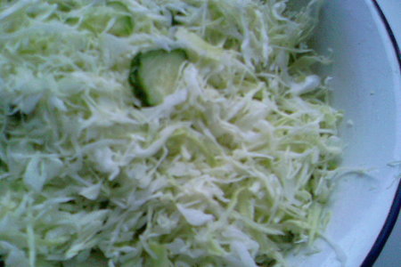 Не совсем обычный салат из молодой капусты.: шаг 1