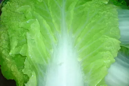 Рулетики из пекинской капусты и ветчины: шаг 3