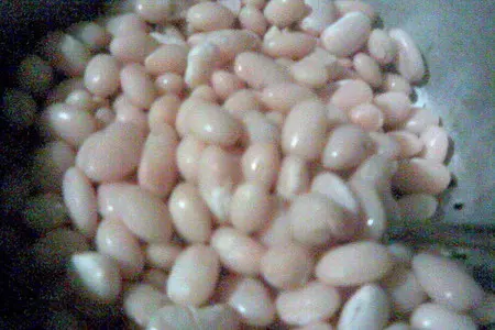 Фасоль, тушеная с фенхелем и другими овощами: шаг 2