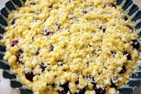 Вишневый пирог с кардамоном, корицей под кокосовой крошкой: шаг 7