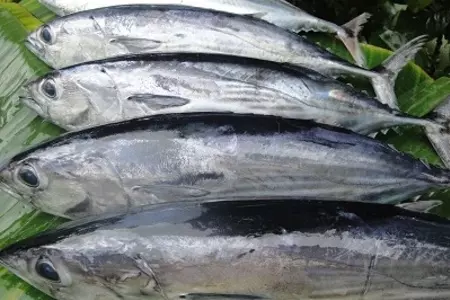 Рыба копчённая в соево-имбирном соусе: шаг 1