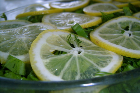 Нототения, тушеная с зеленью и лимоном: шаг 2
