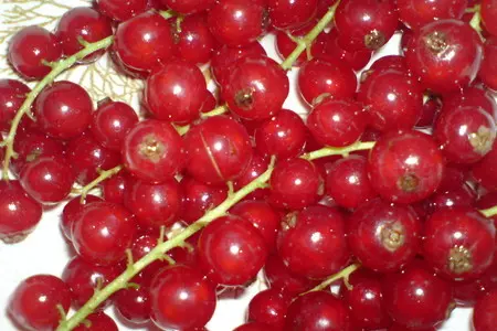 Бисквитные оладьи со сливками и красной смородиной: шаг 1