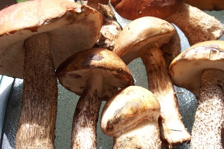 Паштет  из  говядины с лесными грибами: шаг 1