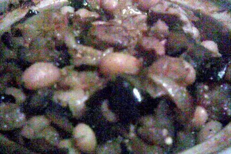 Горшочек с фасолью, курицей и баклажанами: шаг 3