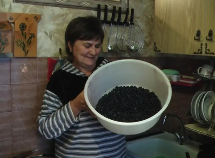 Черника в собственном соке: шаг 1