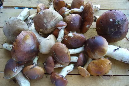 Суп грибной в горшочке без мяса "дары леса": шаг 1