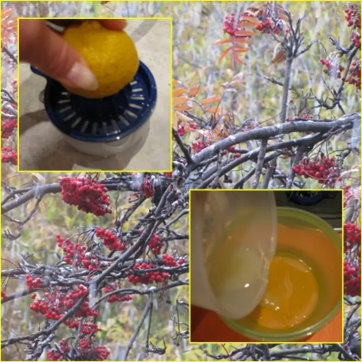 Салат с нутом и курицей !!!: шаг 5