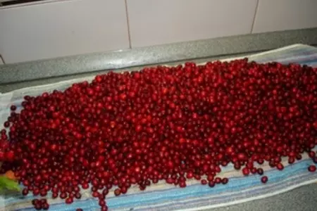 Пастила из боярышника: шаг 2