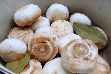 Универесальные закуски: грибы в кляре и кексы с грибами. просто и очень вкусно!: шаг 2