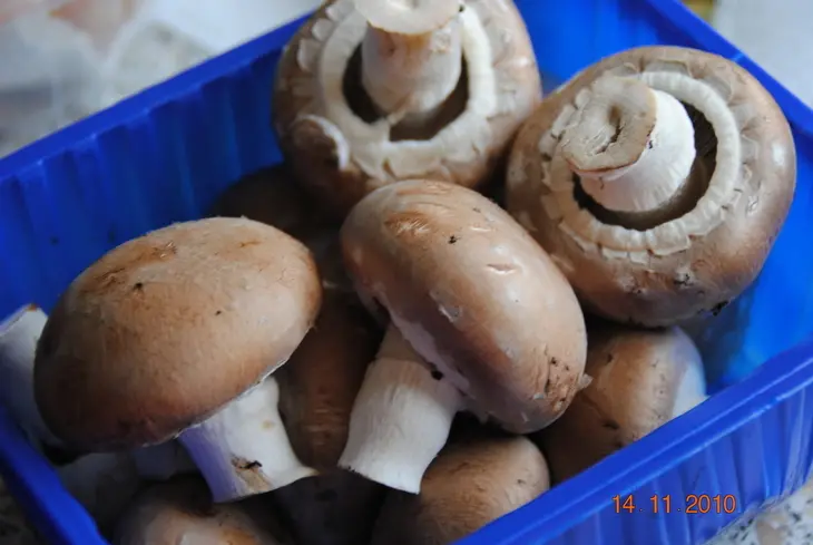 Лоранский пирог с  грибами,ветчиной и брокколи: шаг 2