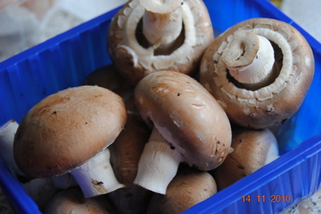 Лоранский пирог с  грибами,ветчиной и брокколи (вариант): шаг 2