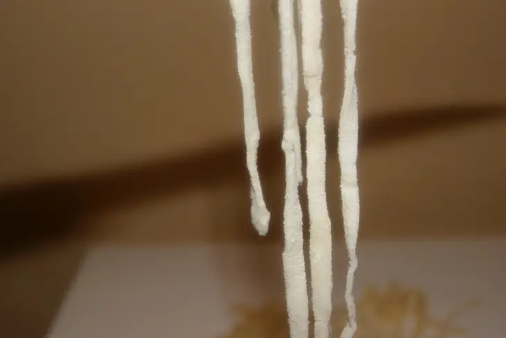 Pasta freska - домашняя лапша, рецепт выходного дня: шаг 3