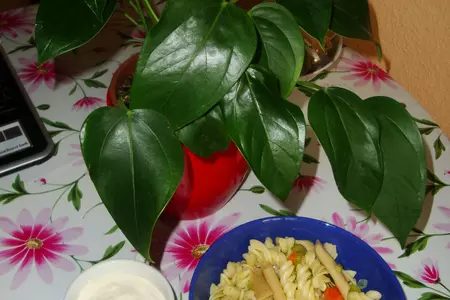Холодный макаронный салат: шаг 1
