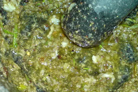 Запечённая с курагой и яблоками  пряная свинина: шаг 2