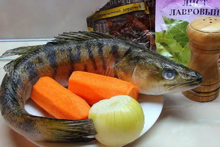 Порционный заливной судак с осьминогами. вкусное украшение праздничного стола!: шаг 1