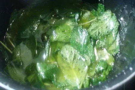 Масло мятное, ароматное: шаг 3