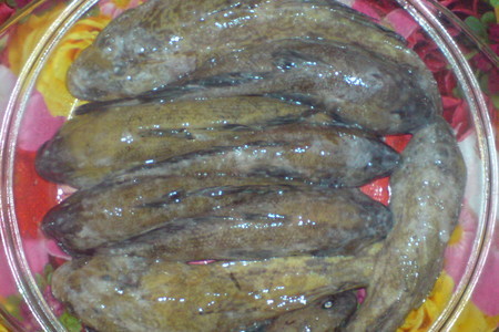 Бычок -мартовик(рыба): шаг 1