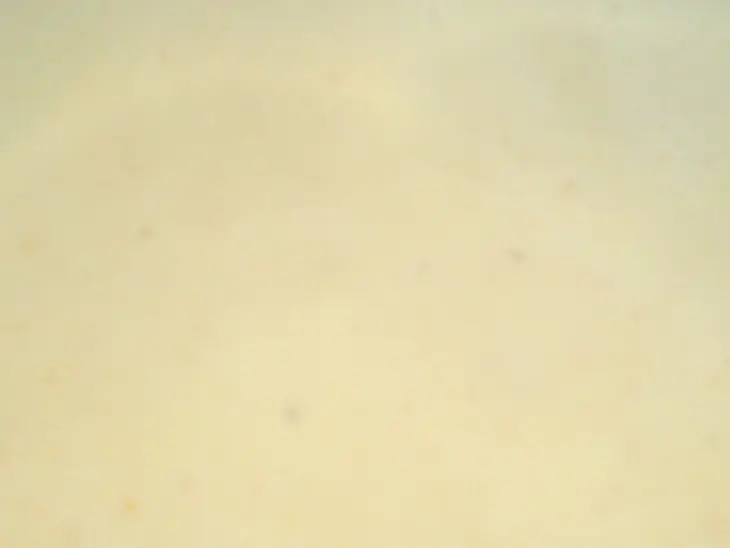 Бюзумский крем-суп с крабиками  „büsumer krabbensuppe“: шаг 6