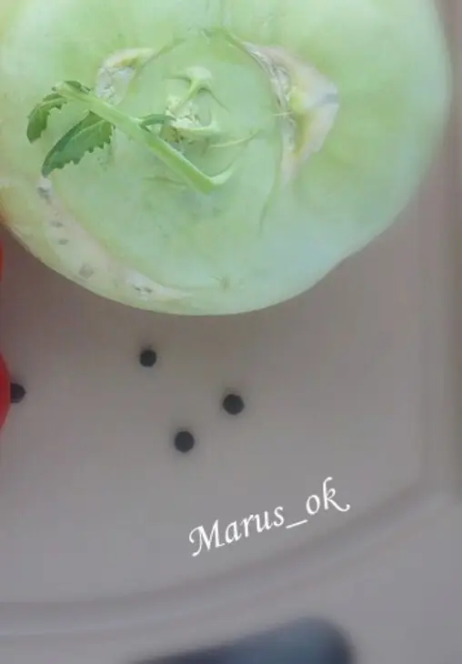 Салат из кольраби с говядиной и сметано-яблочным соусом: шаг 1